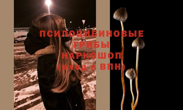 гашик Покровск