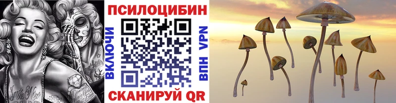 Псилоцибиновые грибы GOLDEN TEACHER  Микунь 